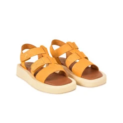 Pataugas ATARI/NU F2I OCRE -Meilleur Chaussure Magasin SANDALE FEMME ATARI NU F2I OCRE 628448 251 4 0fc7fac9 5088 4f30 8f1a 4cc7a3bacf39